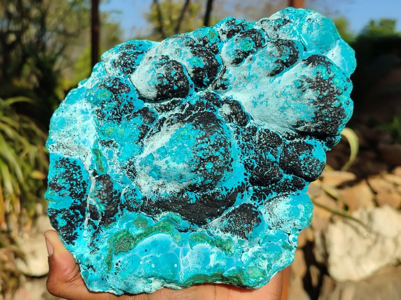 Natural Malacholla (Malachite & Chrysocolla) Specimen  x 1 From Kulukuluku, Congo