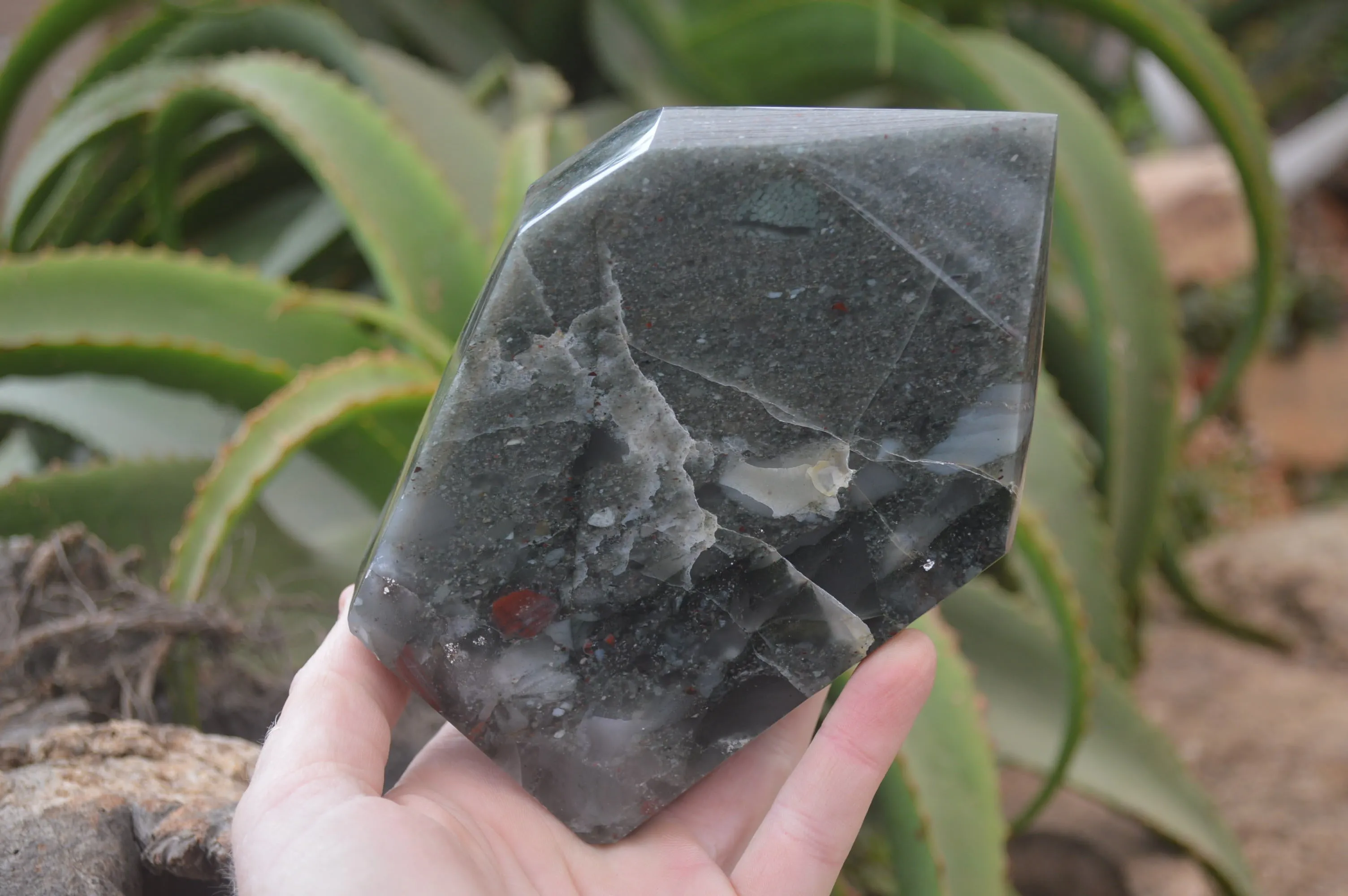 Polished Conglomerate Bloodstone Prism x 1 From Swaziland