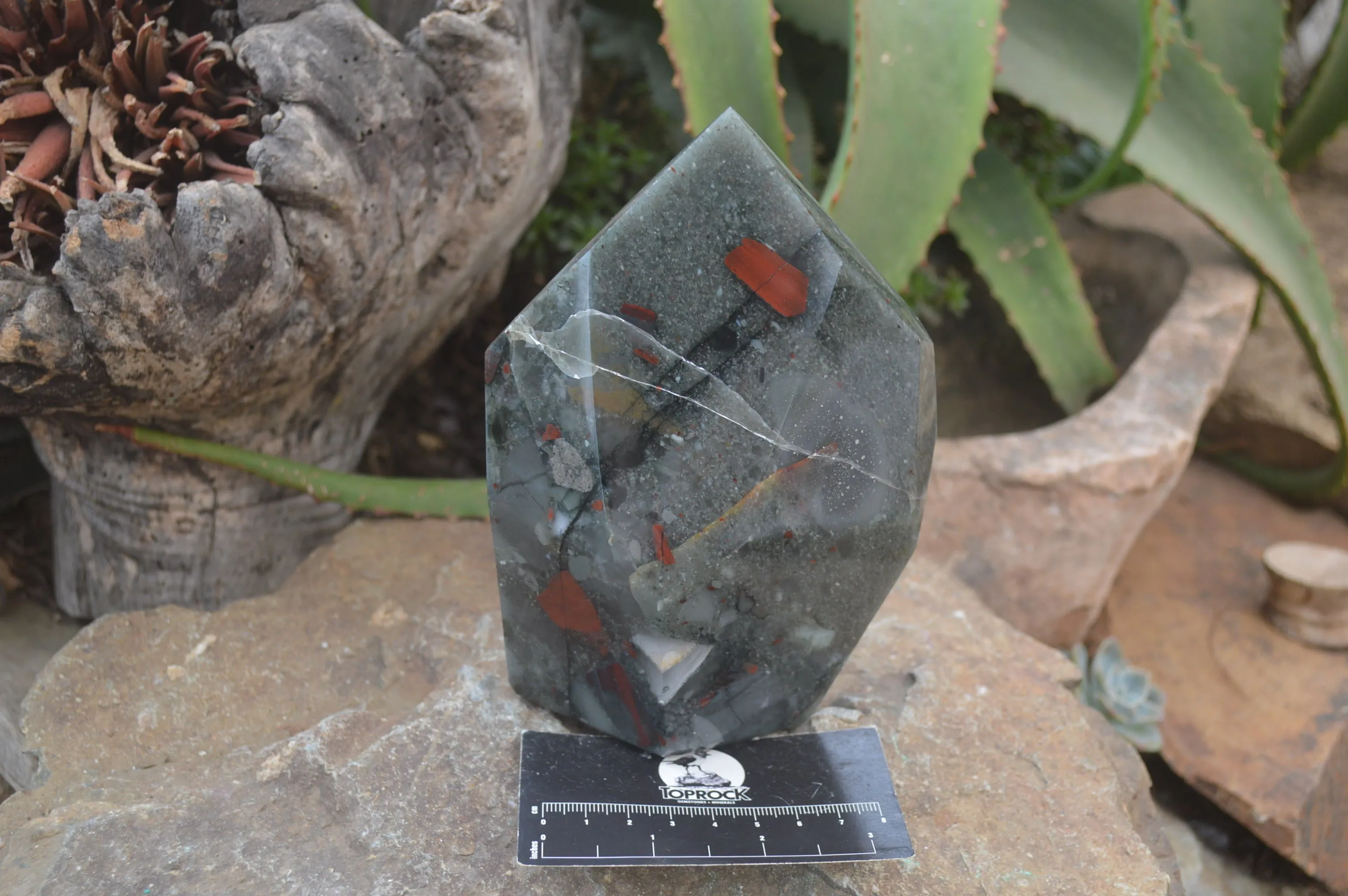 Polished Conglomerate Bloodstone Prism x 1 From Swaziland