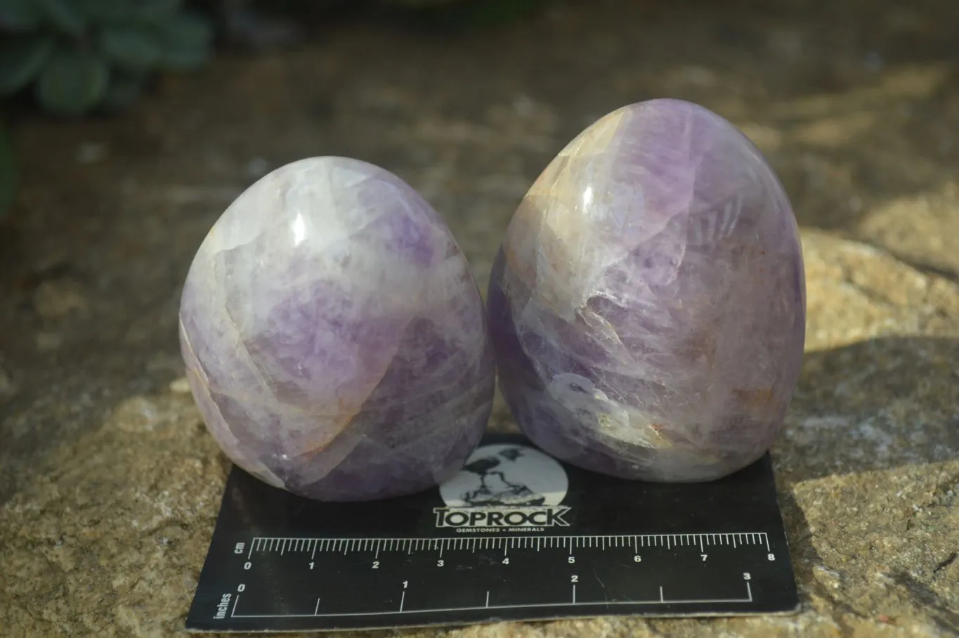 Polished Dream Amethyst Standing Free Forms x 6 From Madagascar