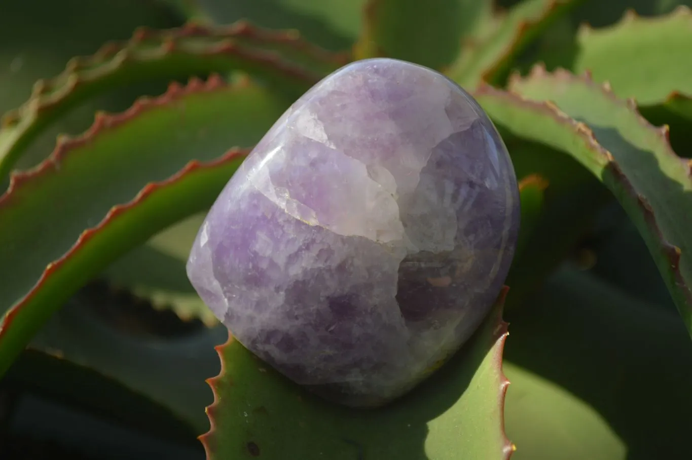 Polished Dream Amethyst Standing Free Forms x 6 From Madagascar