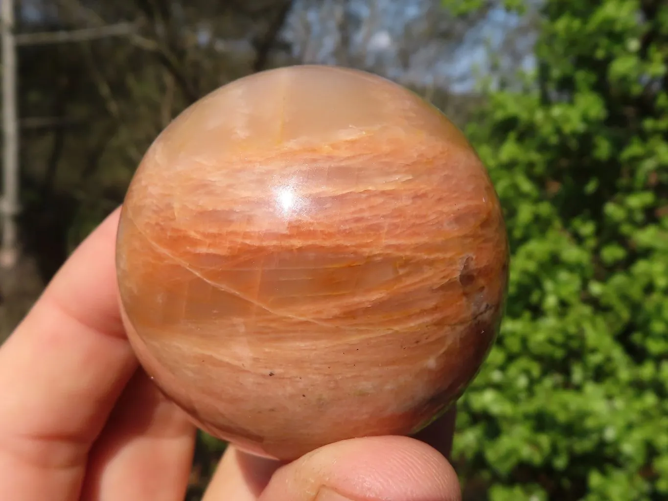 Polished Flashy Peach Moonstone Spheres x 6 From Madagascar