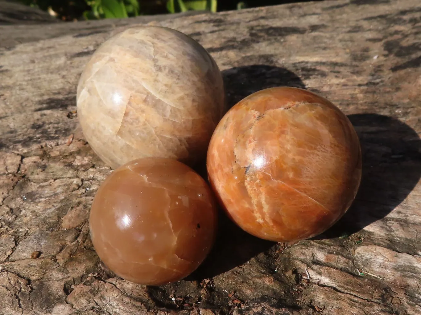 Polished Flashy Peach Moonstone Spheres x 6 From Madagascar