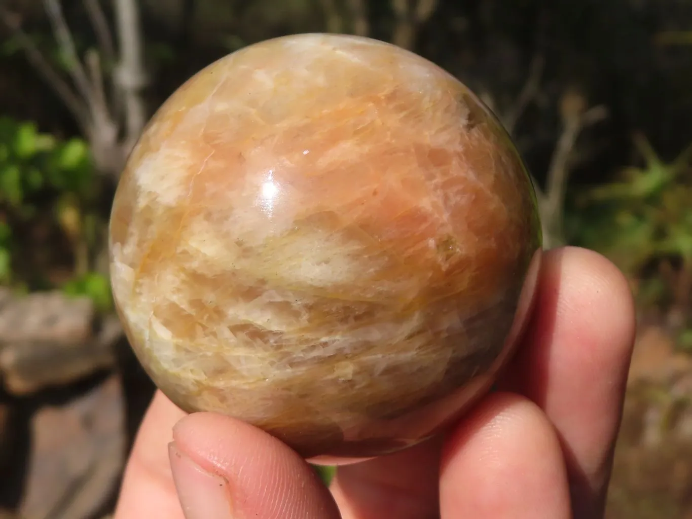 Polished Flashy Peach Moonstone Spheres x 6 From Madagascar