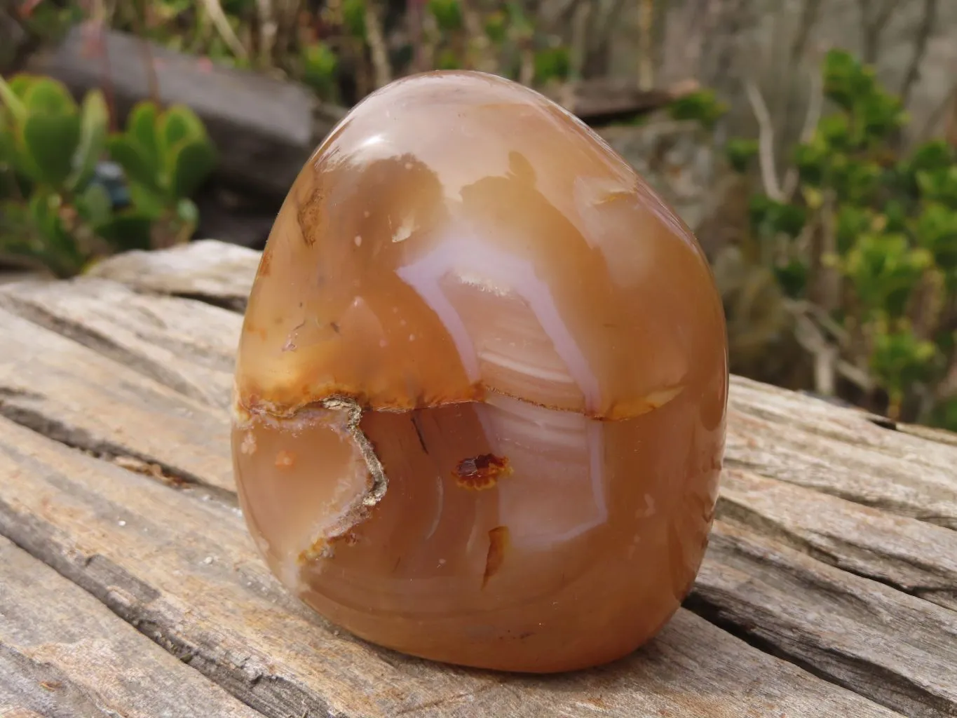 Polished Flower Agate Standing Free Forms  x 3 From Madagascar