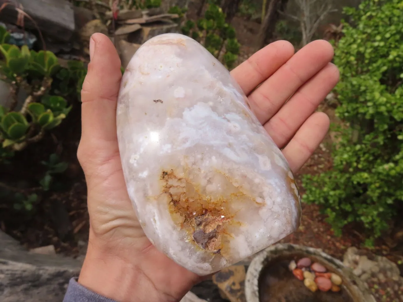 Polished Flower Agate Standing Free Forms  x 3 From Madagascar