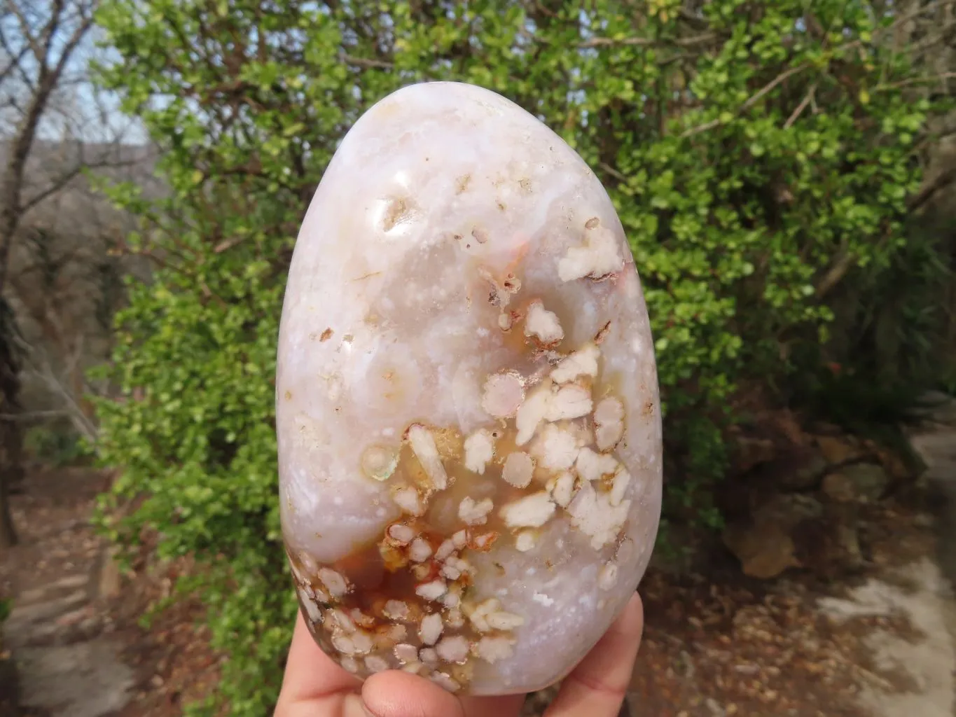 Polished Flower Agate Standing Free Forms  x 3 From Madagascar