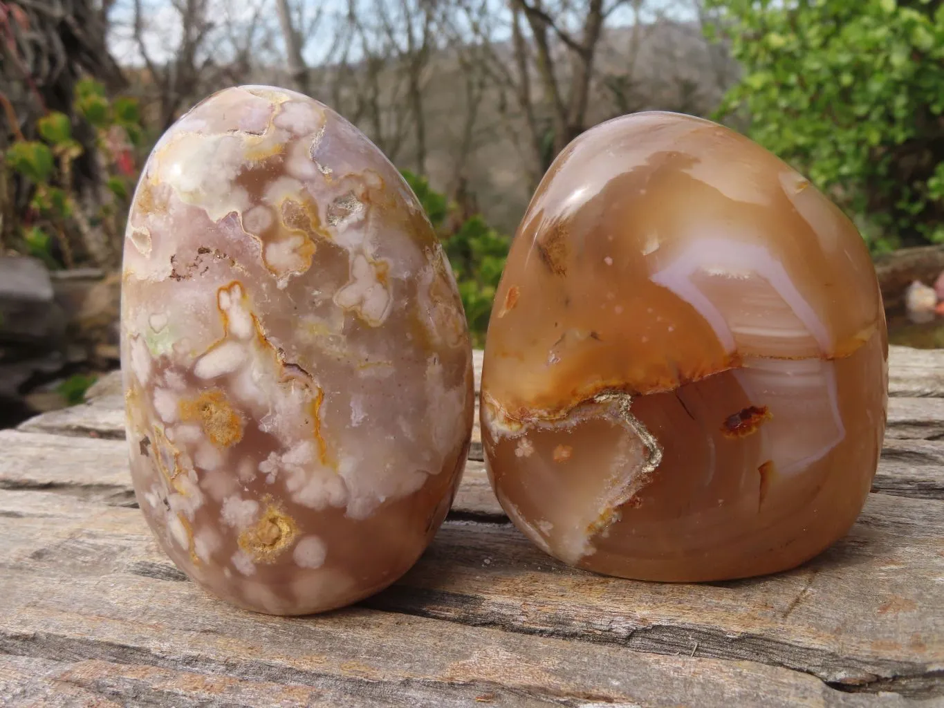 Polished Flower Agate Standing Free Forms  x 3 From Madagascar