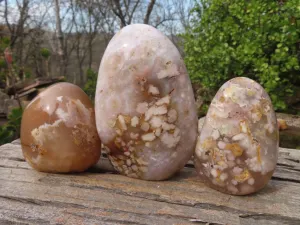 Polished Flower Agate Standing Free Forms  x 3 From Madagascar