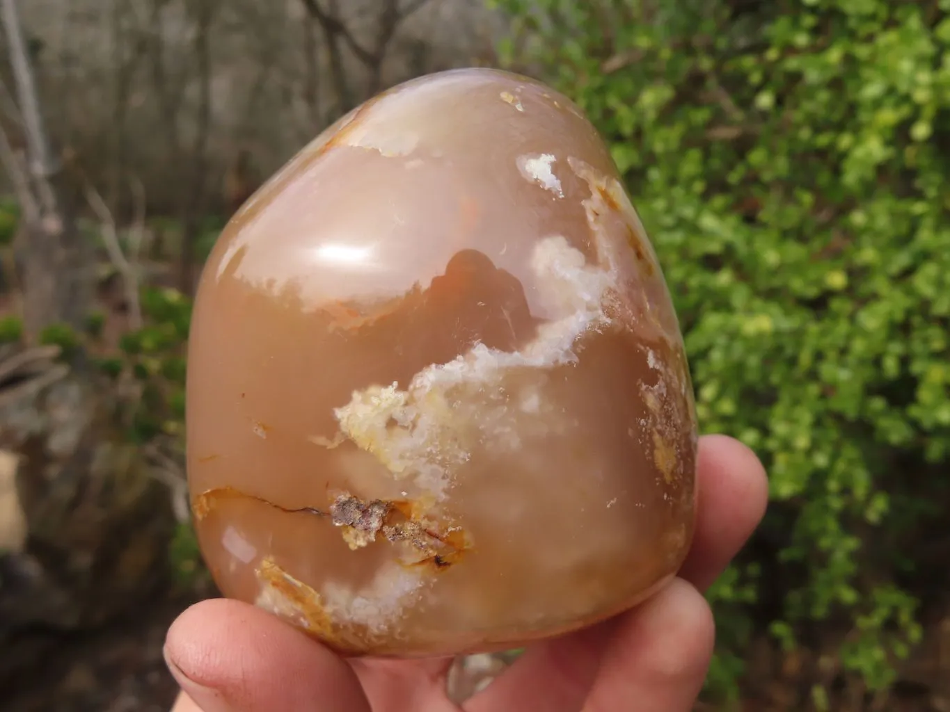 Polished Flower Agate Standing Free Forms  x 3 From Madagascar