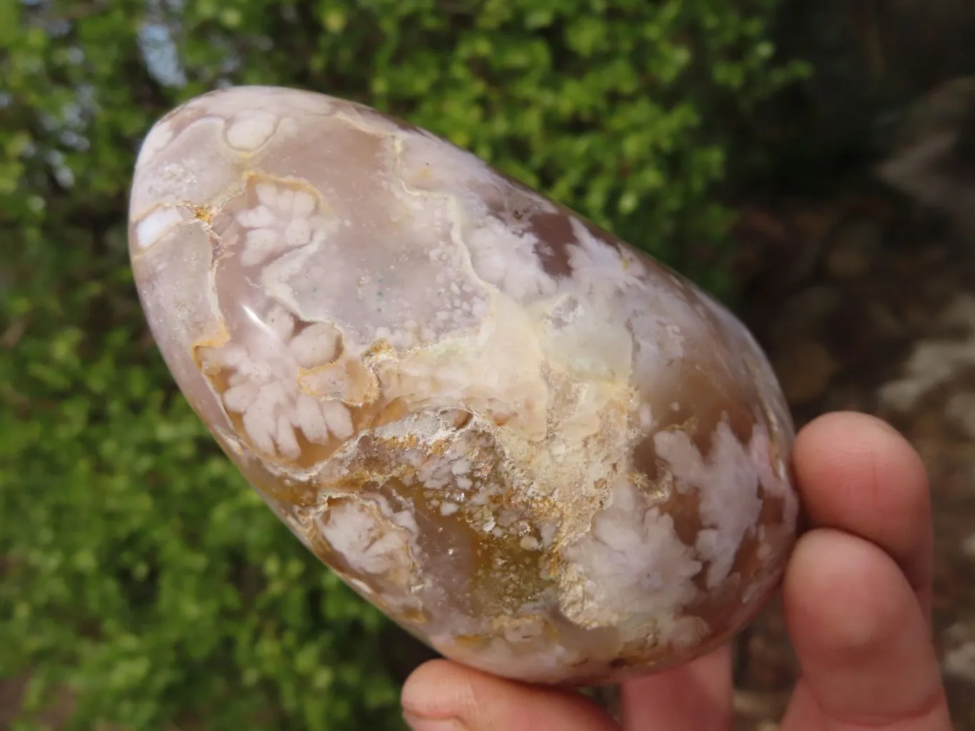 Polished Flower Agate Standing Free Forms  x 3 From Madagascar