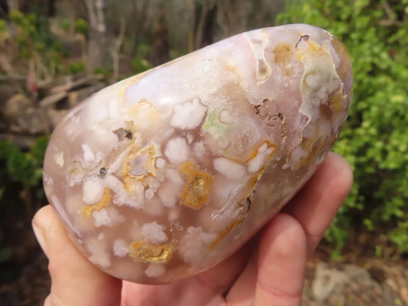 Polished Flower Agate Standing Free Forms  x 3 From Madagascar