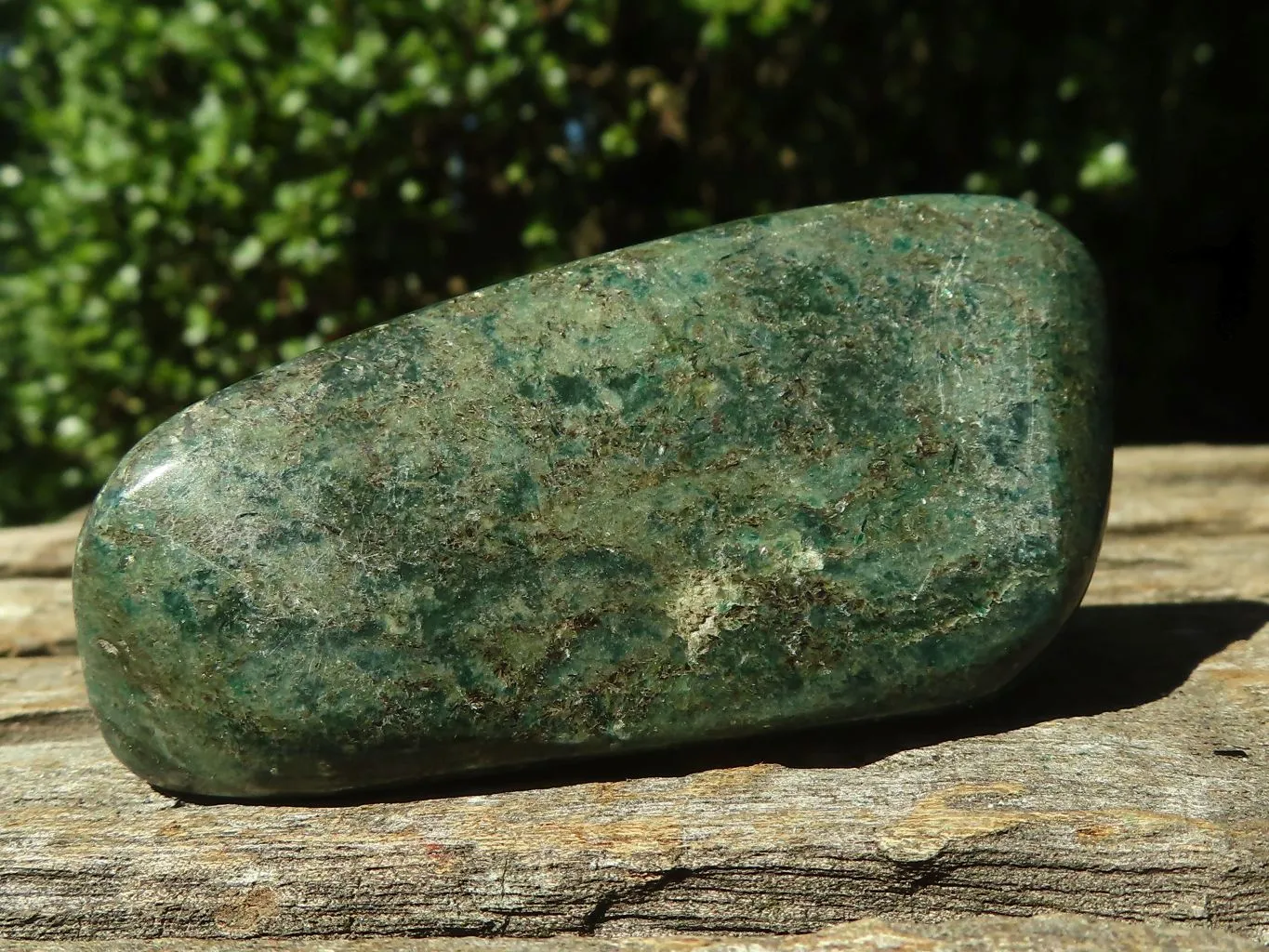 Polished Fluorescent Ruby Corundum In Chrome Verdite Free Forms x 12 From Zimbabwe