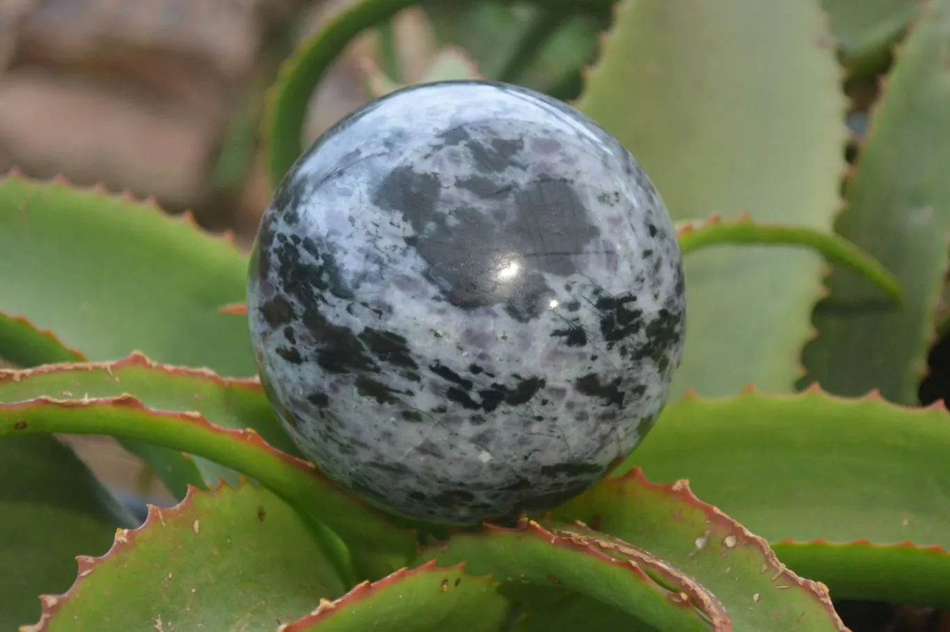 Polished Gabbro Merlinite Spheres  x 2 From Ambatofinadrahana, Madagascar