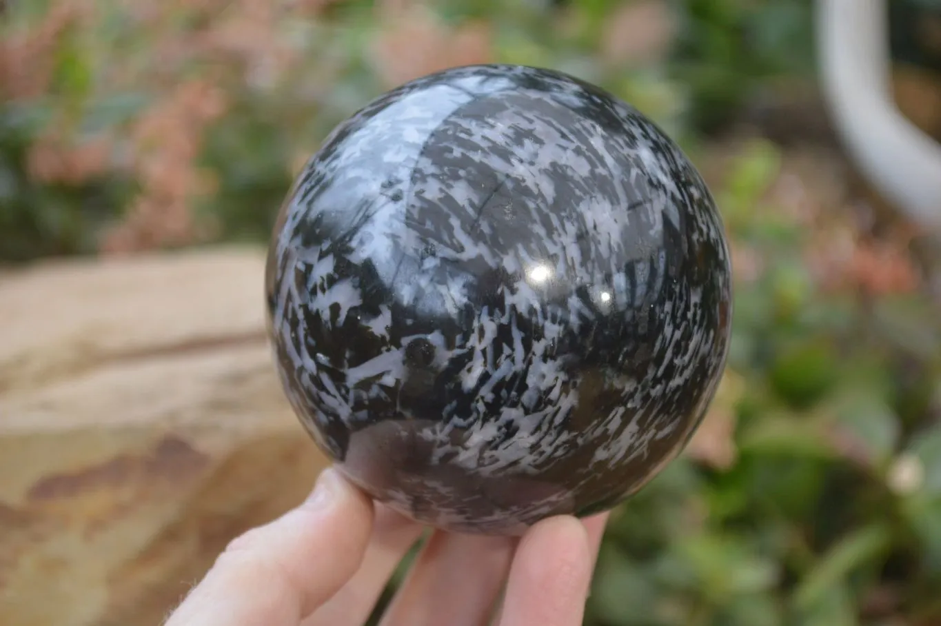 Polished Gabbro Merlinite Spheres  x 2 From Ambatofinadrahana, Madagascar