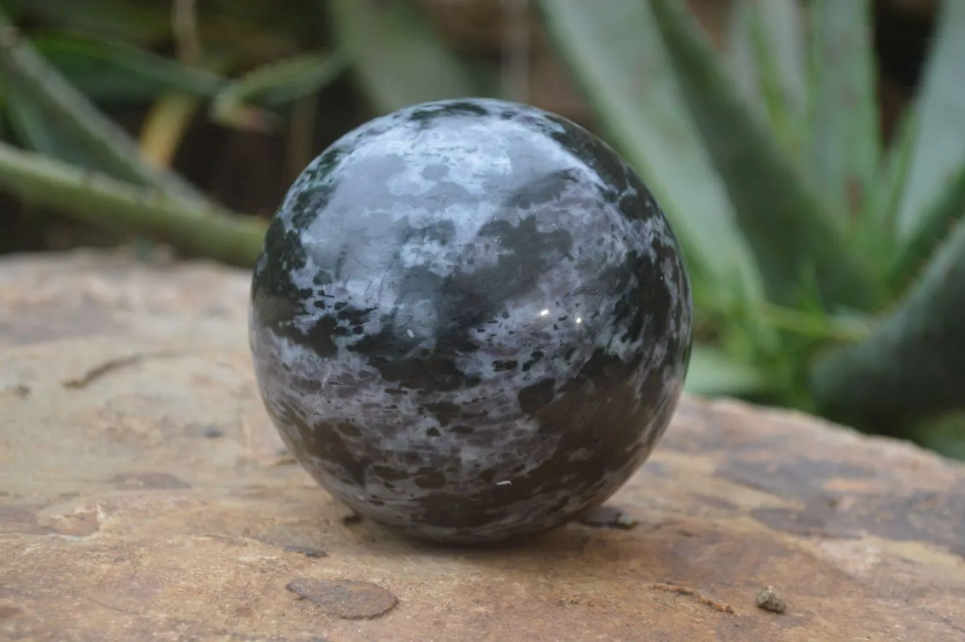 Polished Gabbro Merlinite Spheres  x 2 From Ambatofinadrahana, Madagascar