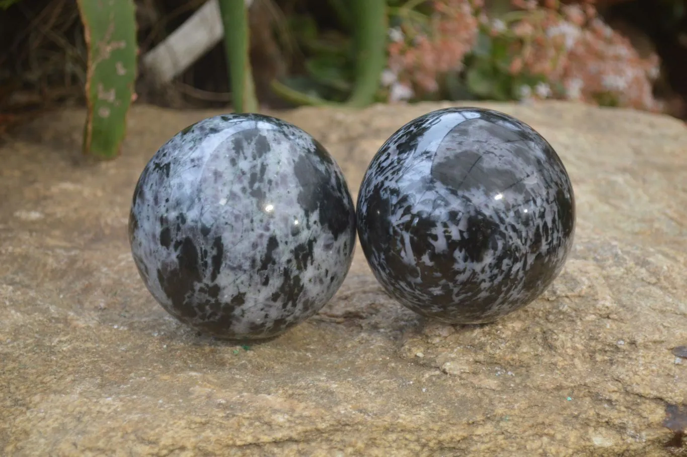 Polished Gabbro Merlinite Spheres  x 2 From Ambatofinadrahana, Madagascar