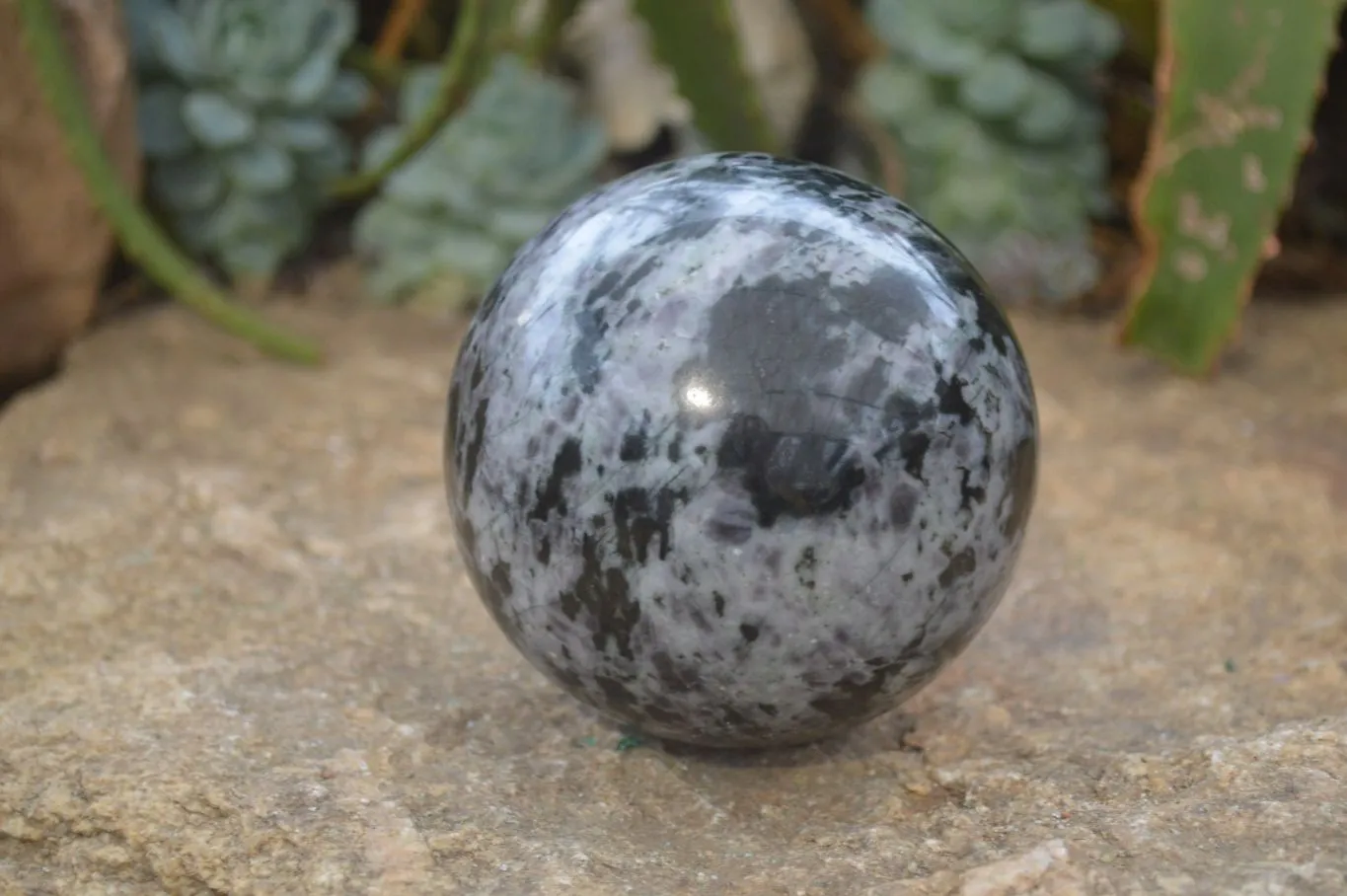 Polished Gabbro Merlinite Spheres  x 2 From Ambatofinadrahana, Madagascar