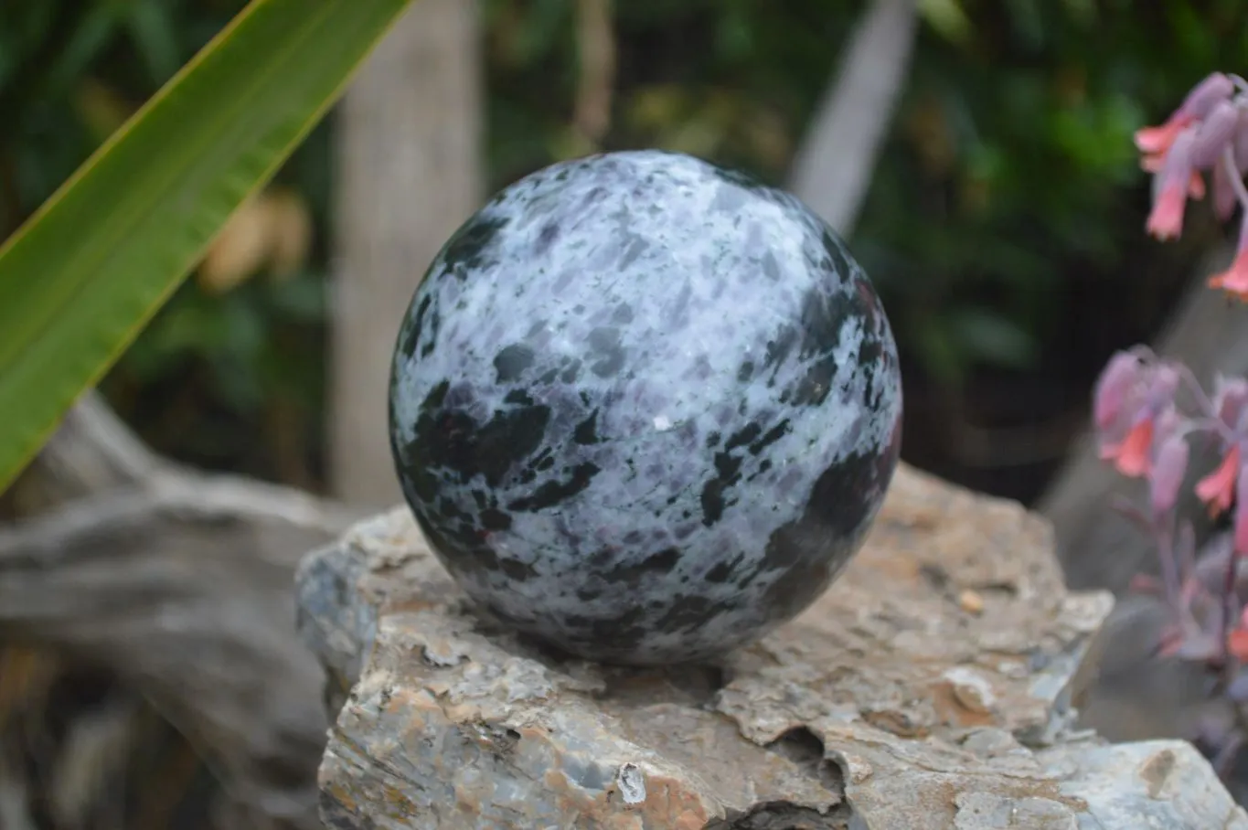 Polished Gabbro Merlinite Spheres  x 2 From Ambatofinadrahana, Madagascar