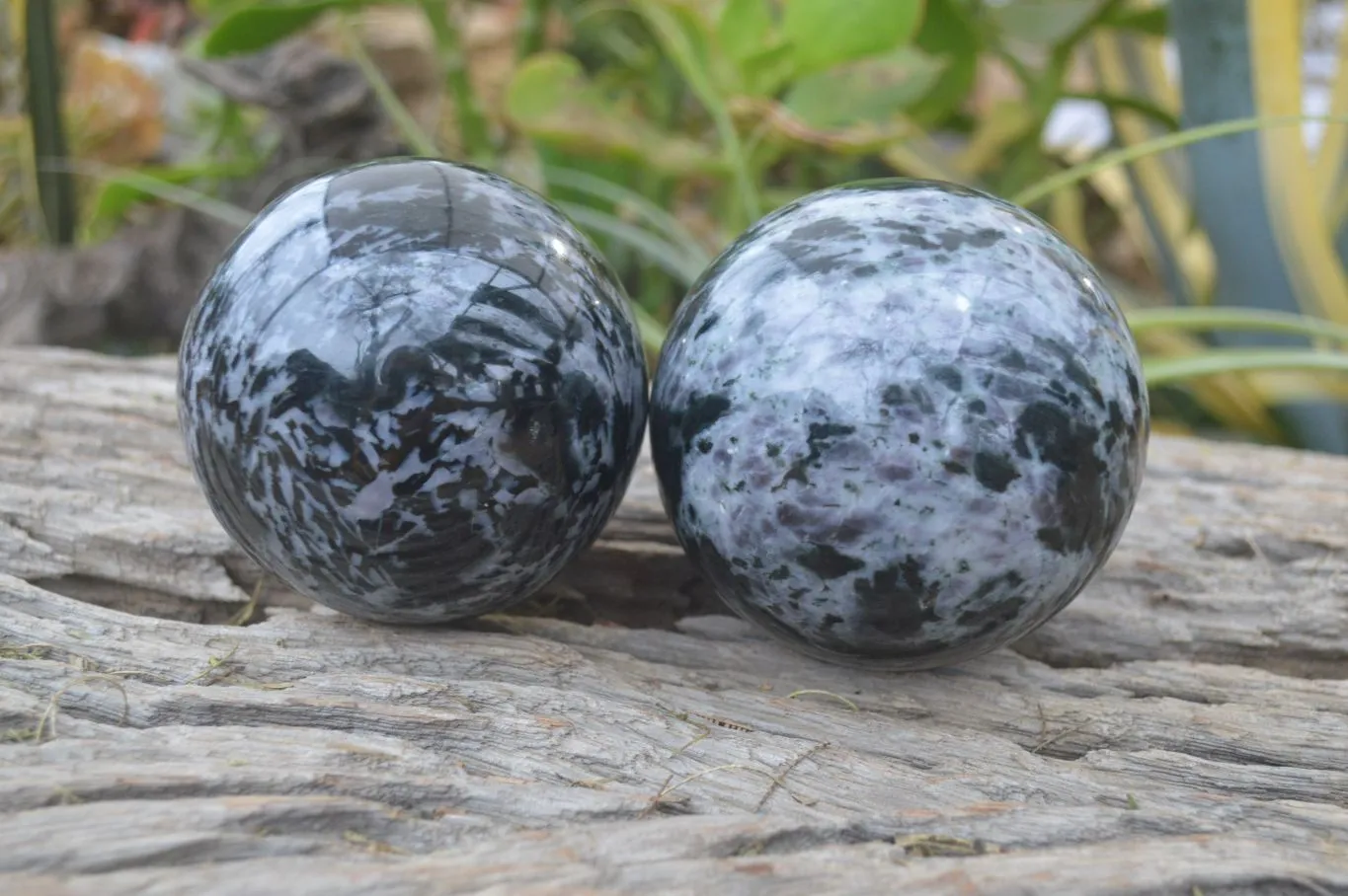 Polished Gabbro Merlinite Spheres  x 2 From Ambatofinadrahana, Madagascar