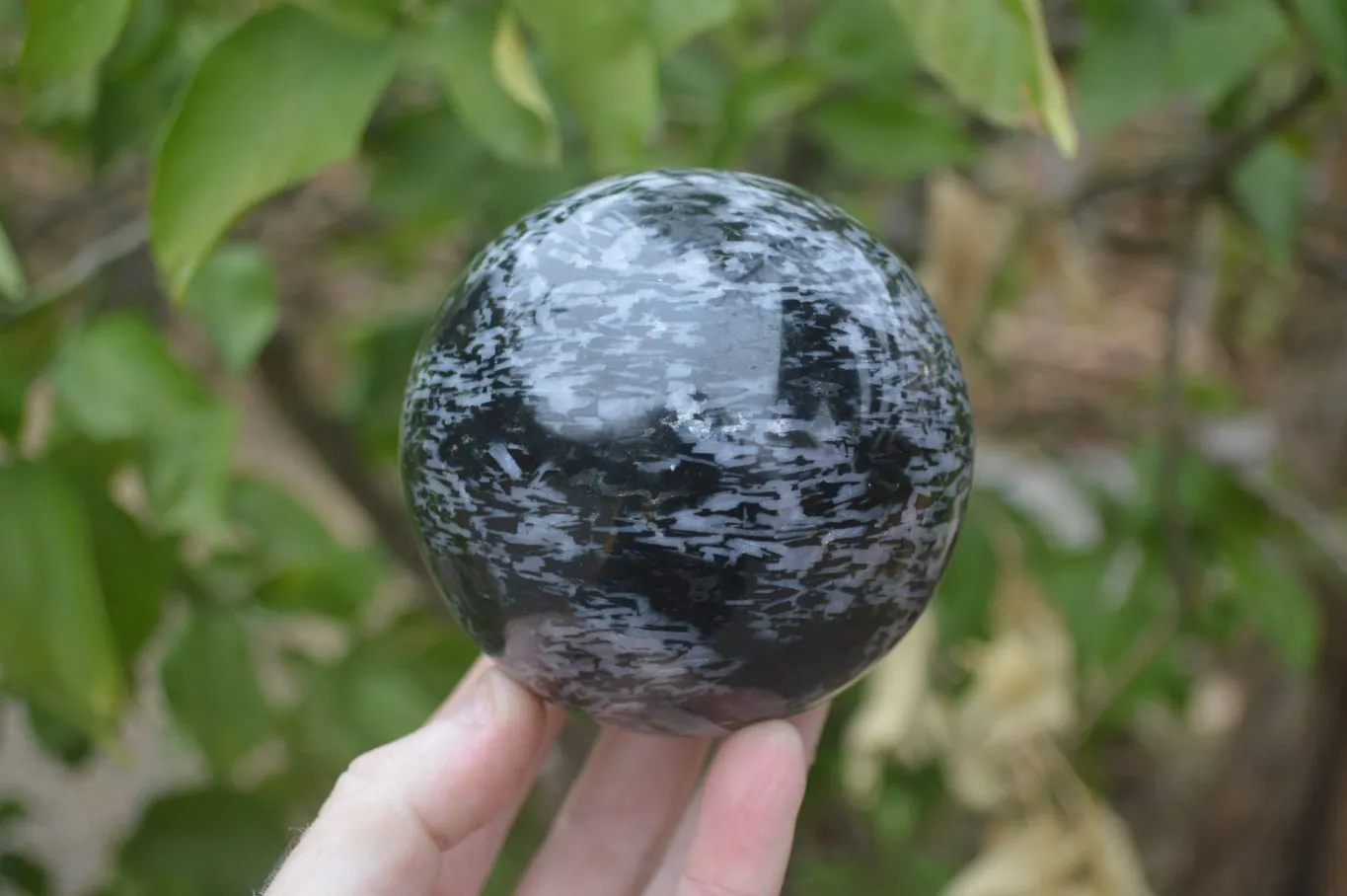 Polished Gabbro Merlinite Spheres  x 2 From Ambatofinadrahana, Madagascar