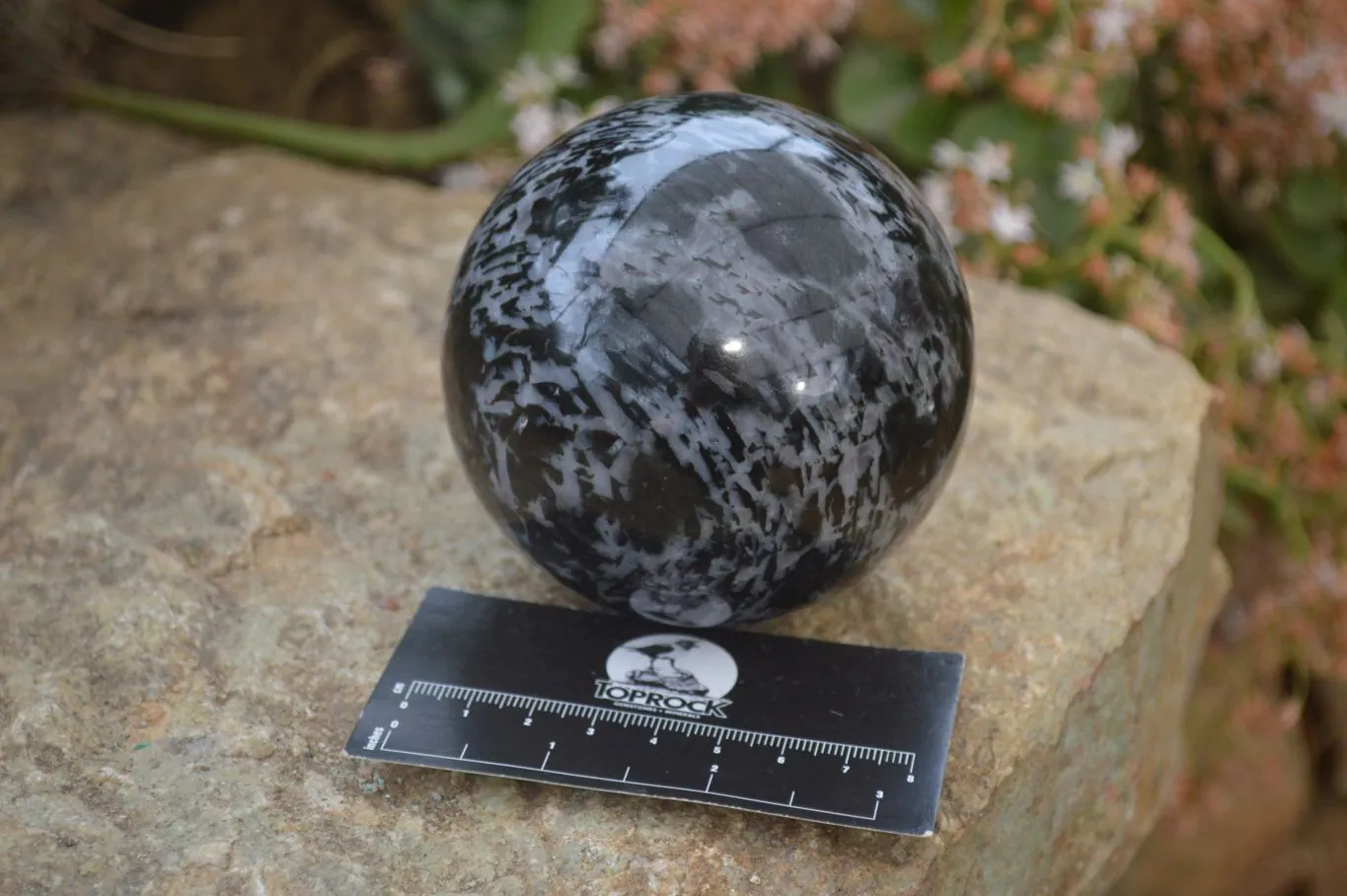 Polished Gabbro Merlinite Spheres  x 2 From Ambatofinadrahana, Madagascar