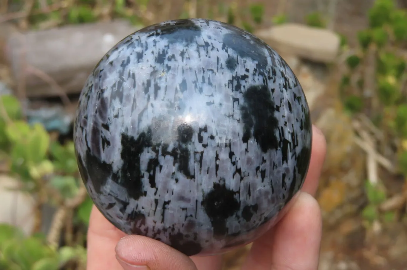 Polished Gabbro Spheres x 3 From Madagascar