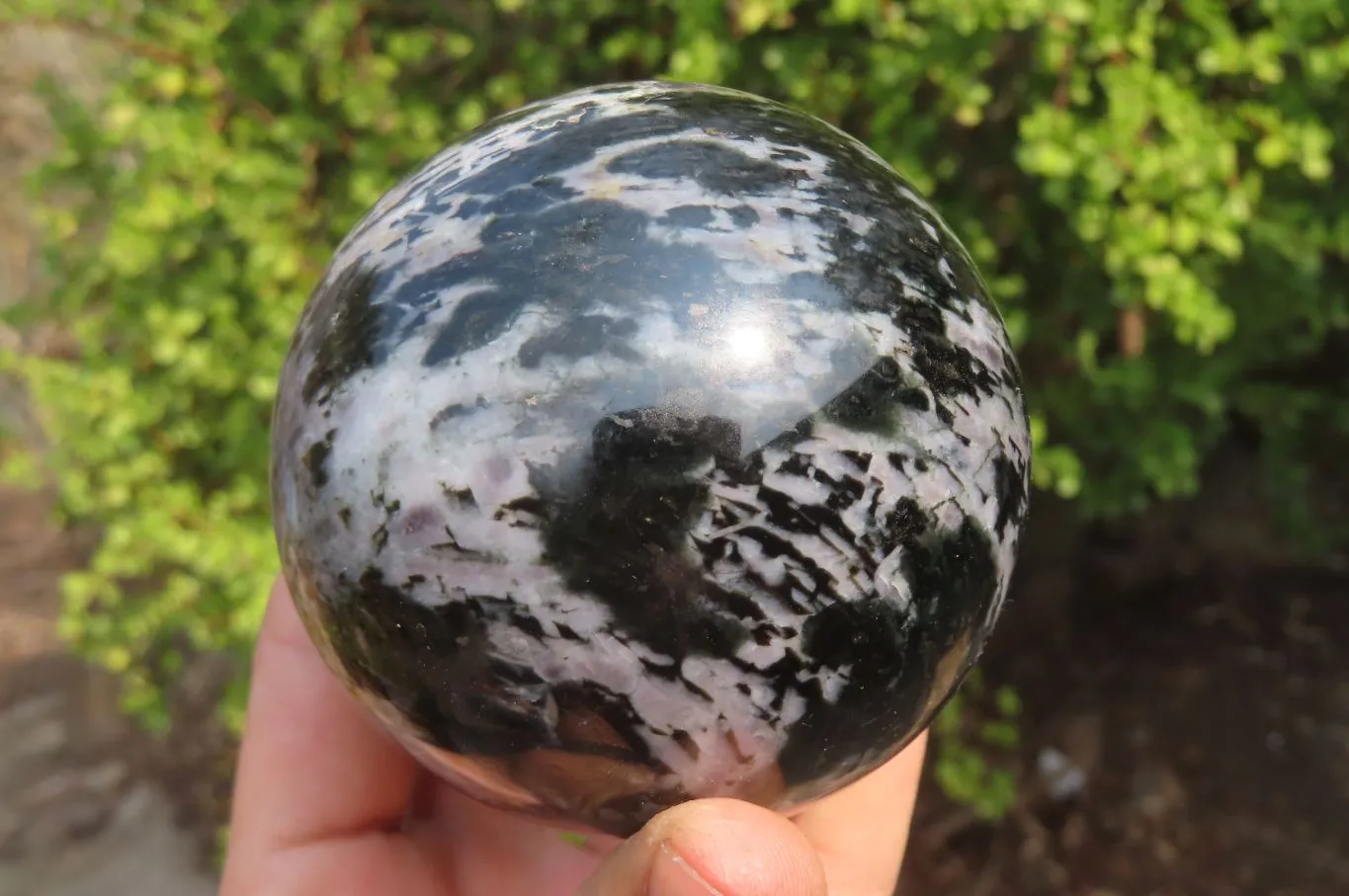 Polished Gabbro Spheres x 3 From Madagascar