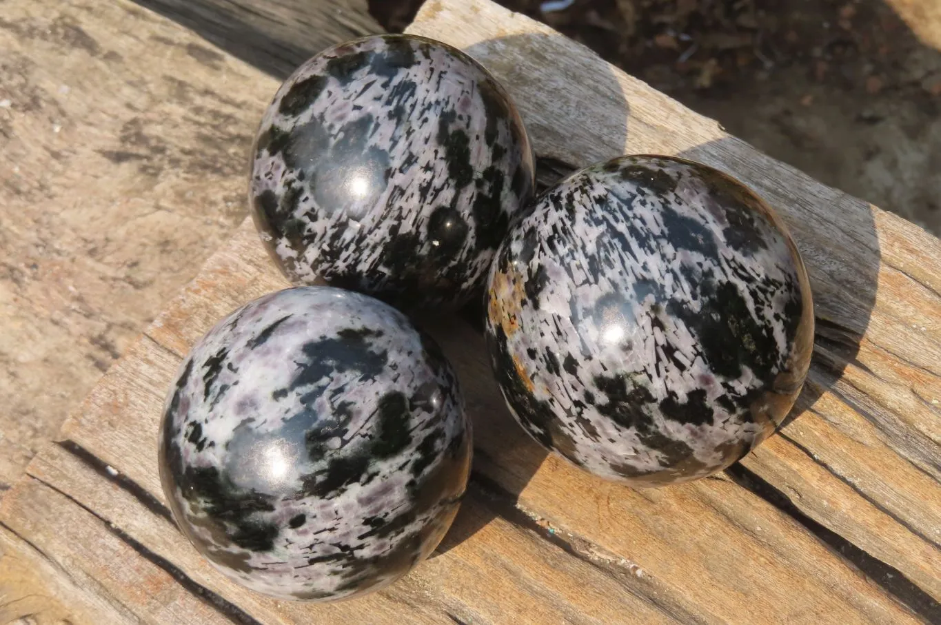 Polished Gabbro Spheres x 3 From Madagascar