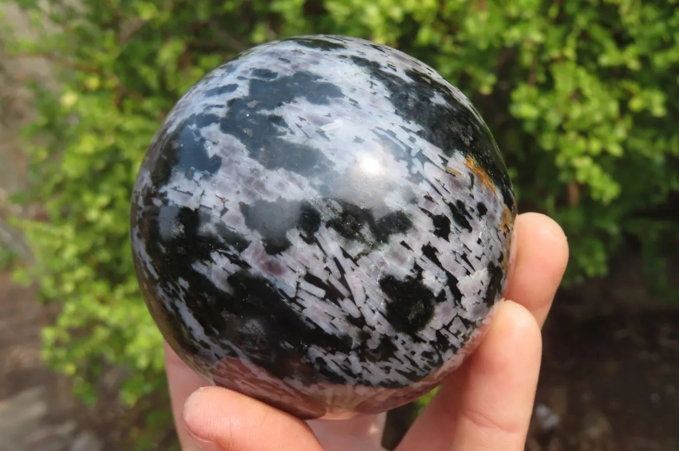 Polished Gabbro Spheres x 3 From Madagascar