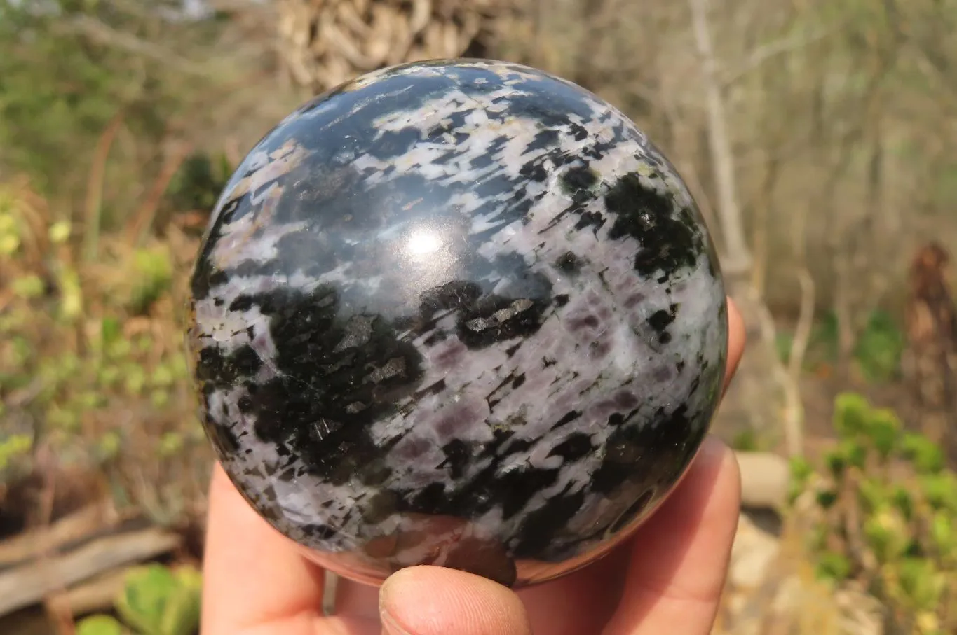 Polished Gabbro Spheres x 3 From Madagascar