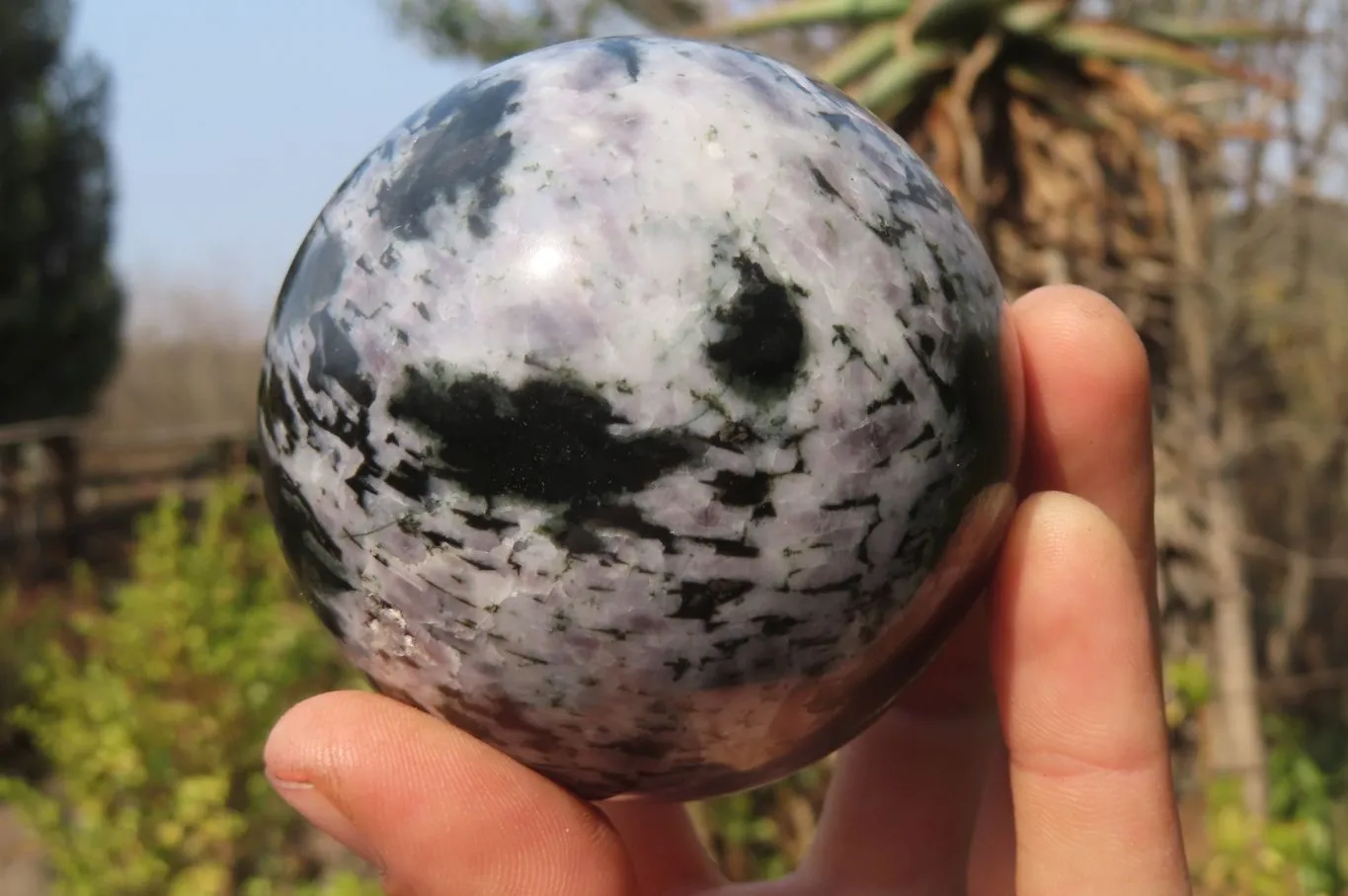 Polished Gabbro Spheres x 3 From Madagascar