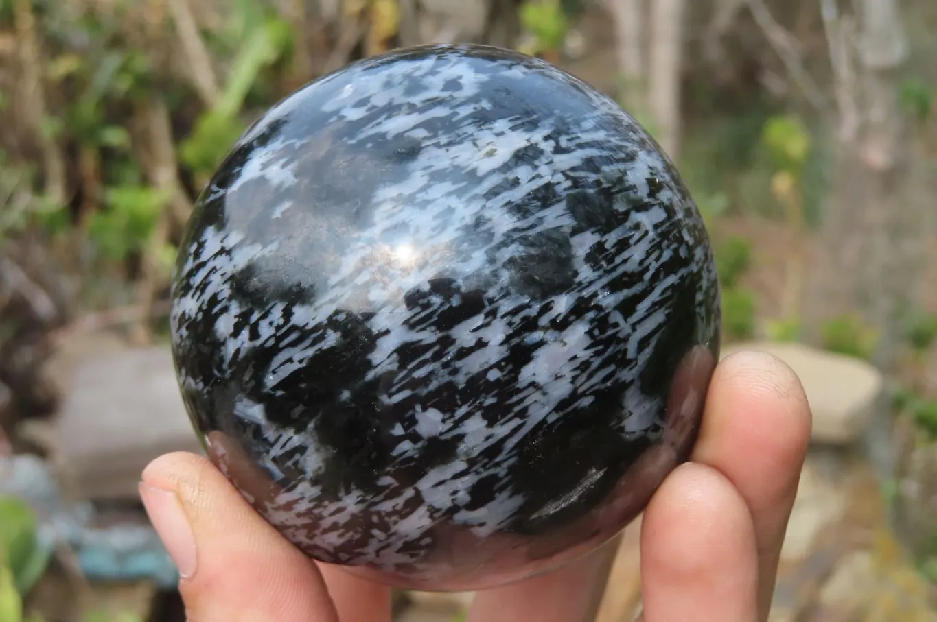 Polished Gabbro Spheres x 3 From Madagascar