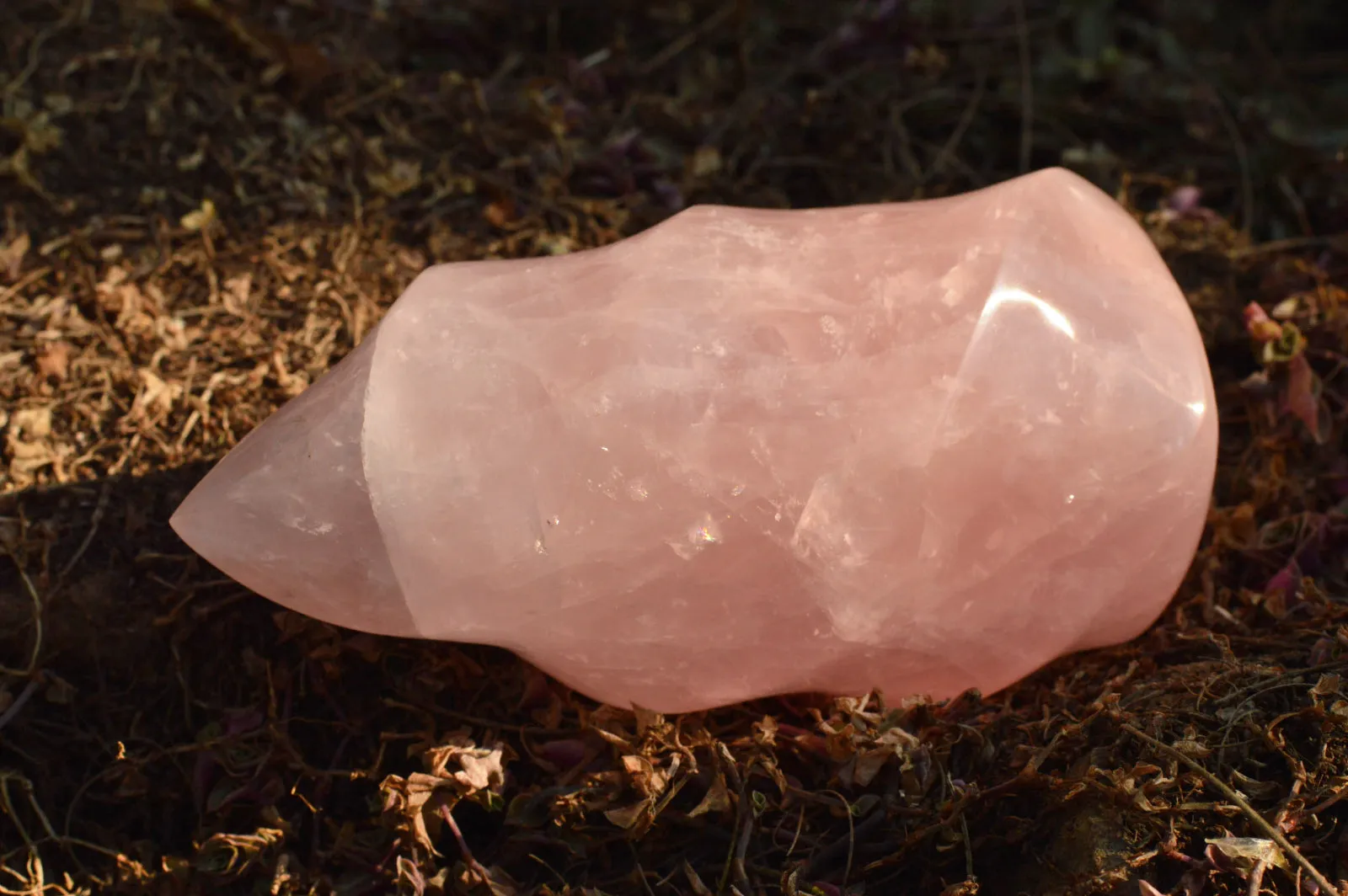 Polished Gemmy Pink Rose Quartz Flames x 2 From Ambatondrazaka, Madagascar