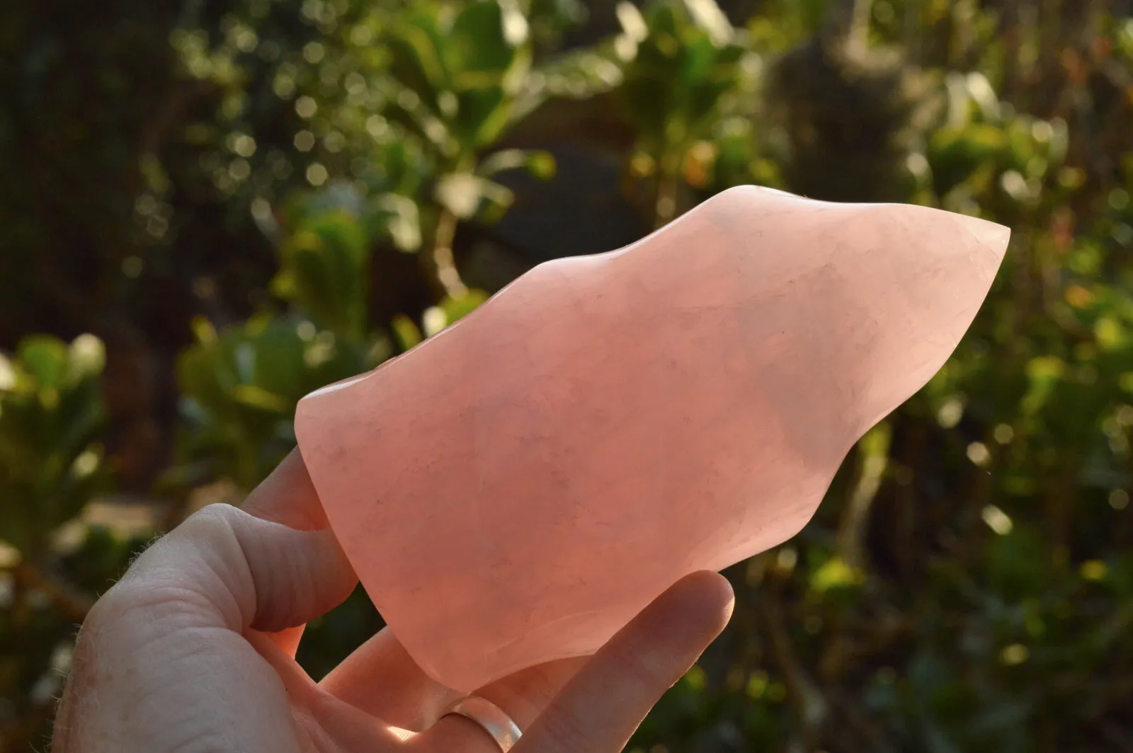 Polished Gemmy Pink Rose Quartz Flames x 2 From Ambatondrazaka, Madagascar