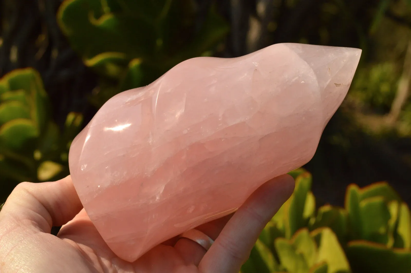 Polished Gemmy Pink Rose Quartz Flames x 2 From Ambatondrazaka, Madagascar