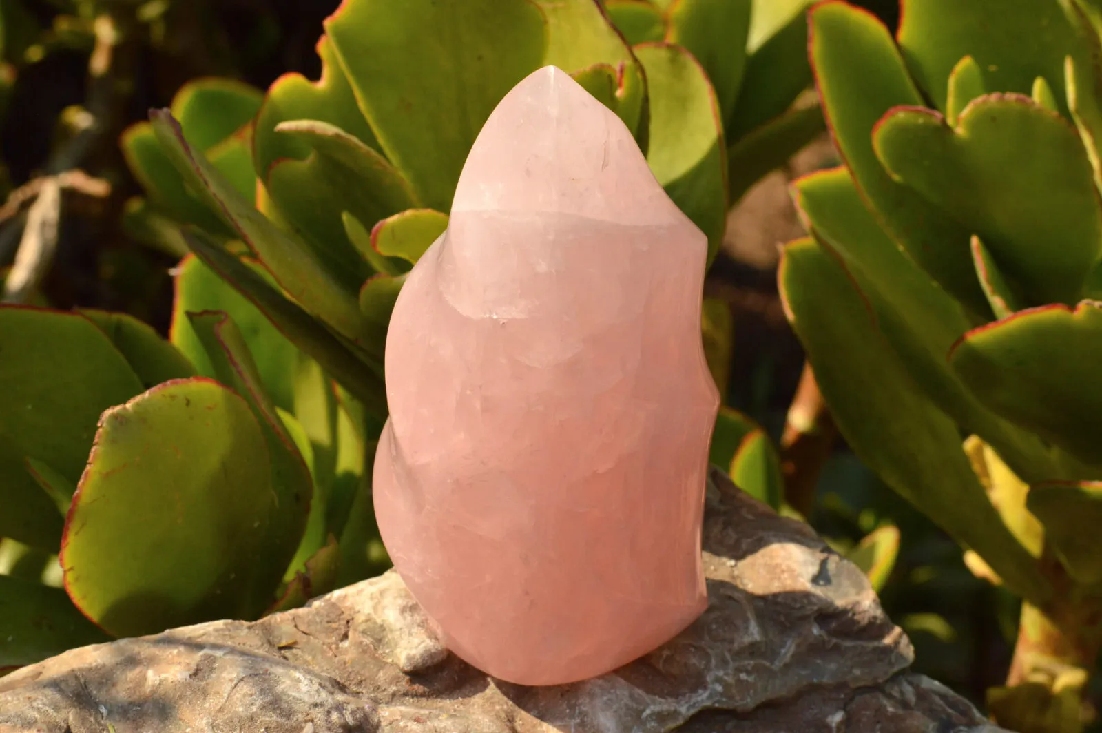 Polished Gemmy Pink Rose Quartz Flames x 2 From Ambatondrazaka, Madagascar