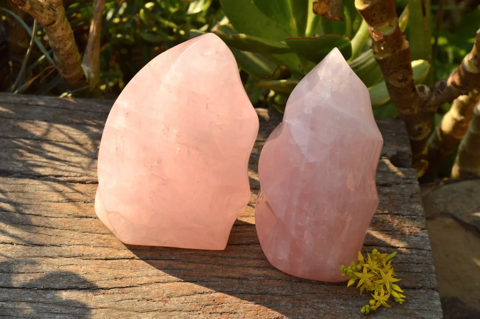 Polished Gemmy Pink Rose Quartz Flames x 2 From Ambatondrazaka, Madagascar