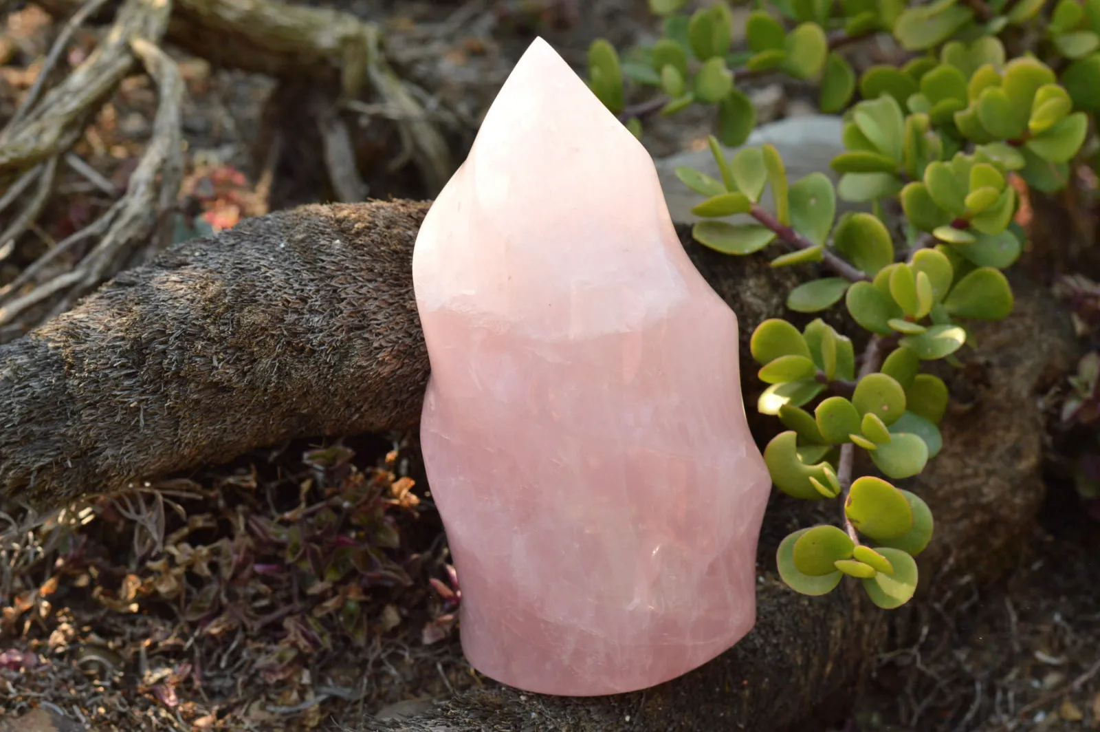 Polished Gemmy Pink Rose Quartz Flames x 2 From Ambatondrazaka, Madagascar