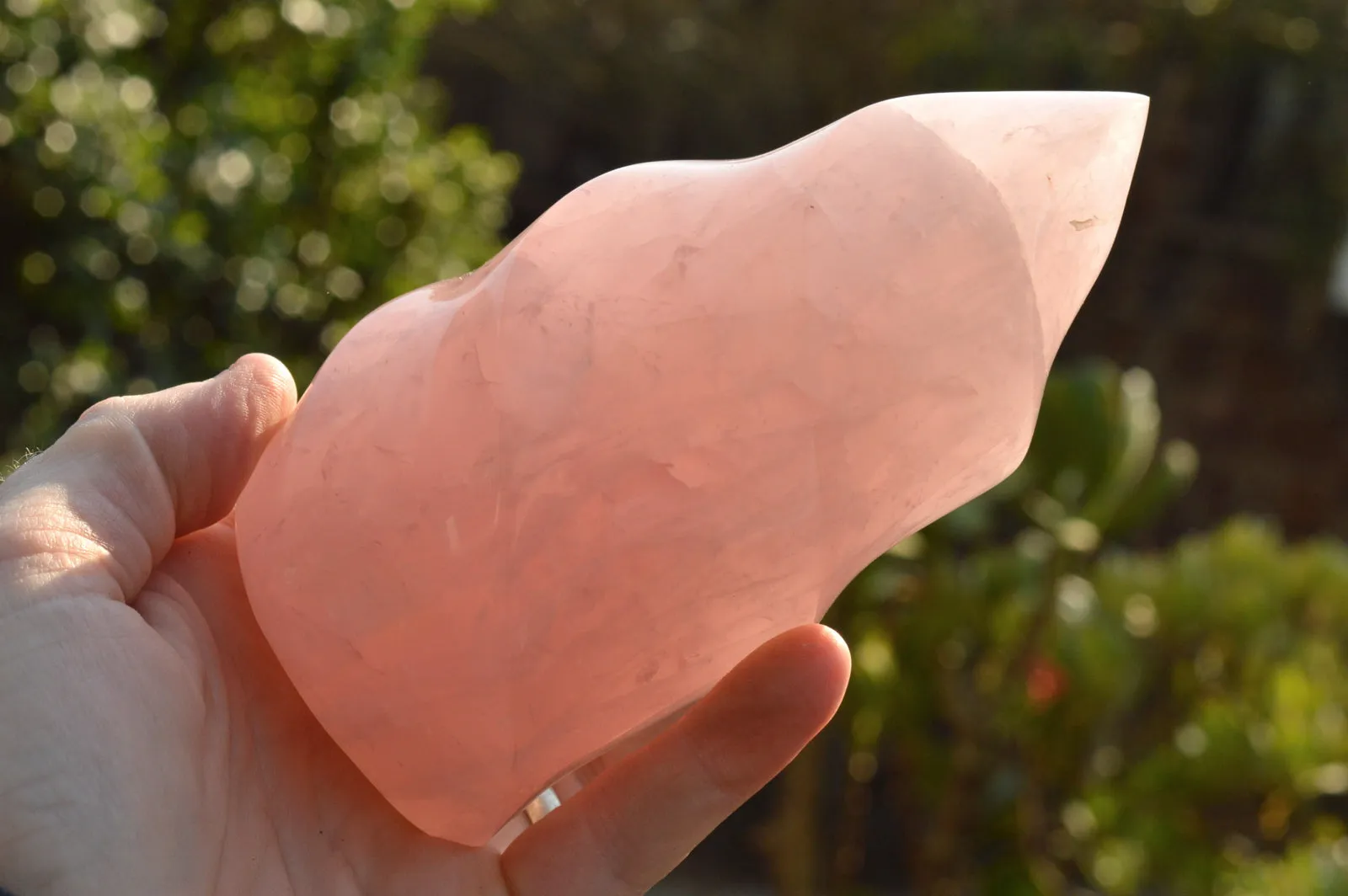 Polished Gemmy Pink Rose Quartz Flames x 2 From Ambatondrazaka, Madagascar