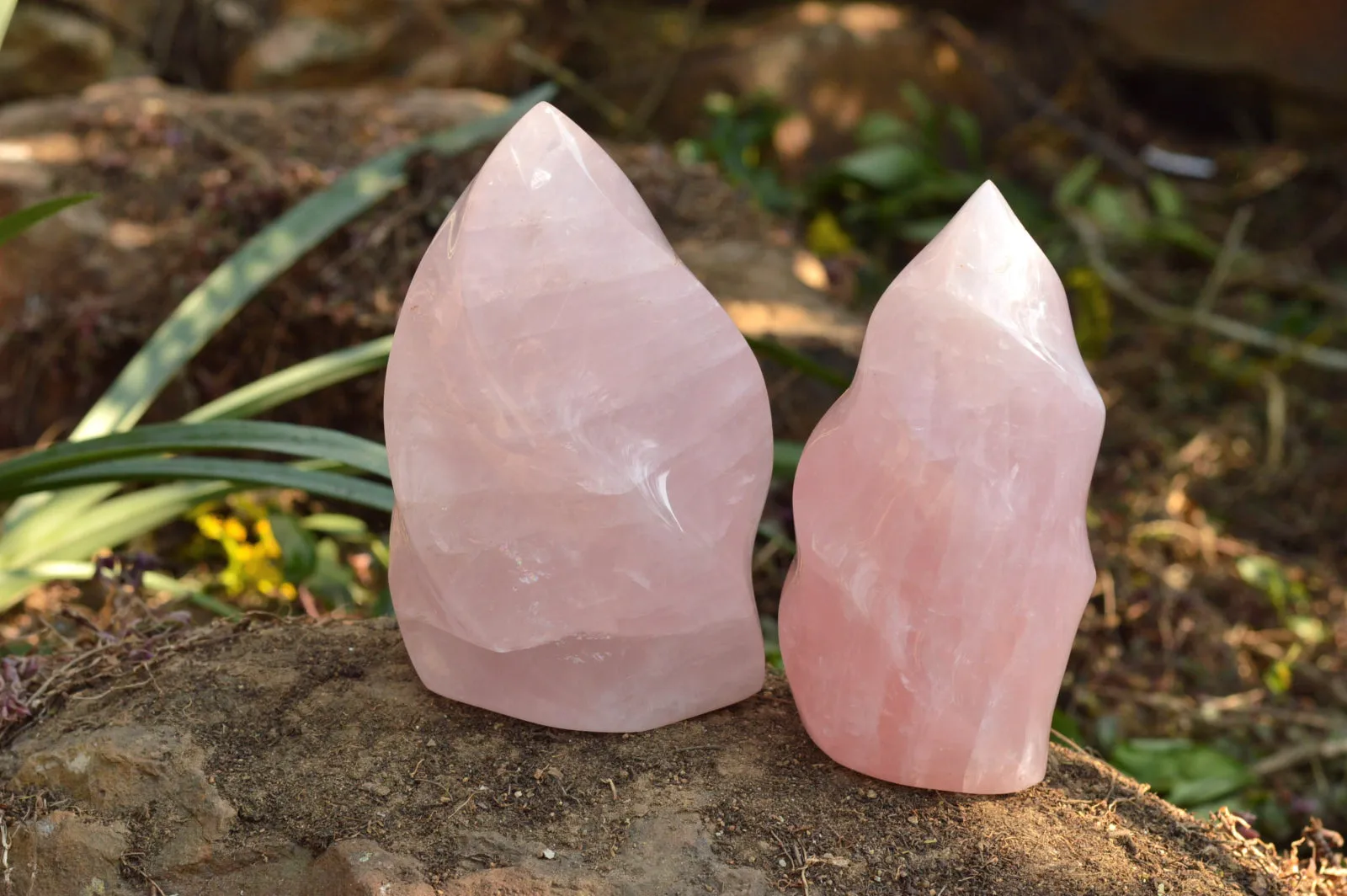 Polished Gemmy Pink Rose Quartz Flames x 2 From Ambatondrazaka, Madagascar