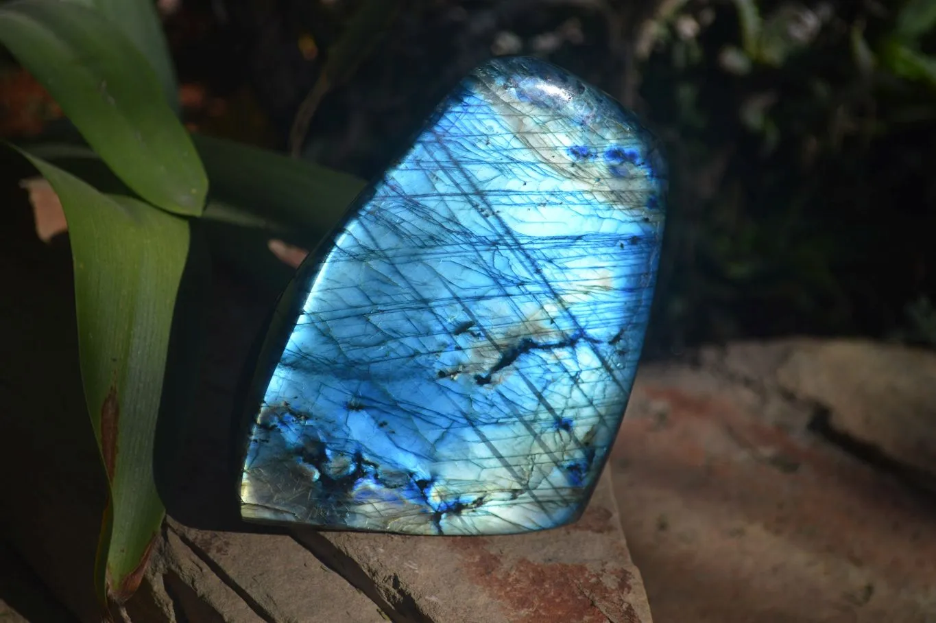 Polished Gorgeous Flashy Labradorite Standing Free Forms  x 2 From Tulear, Madagascar