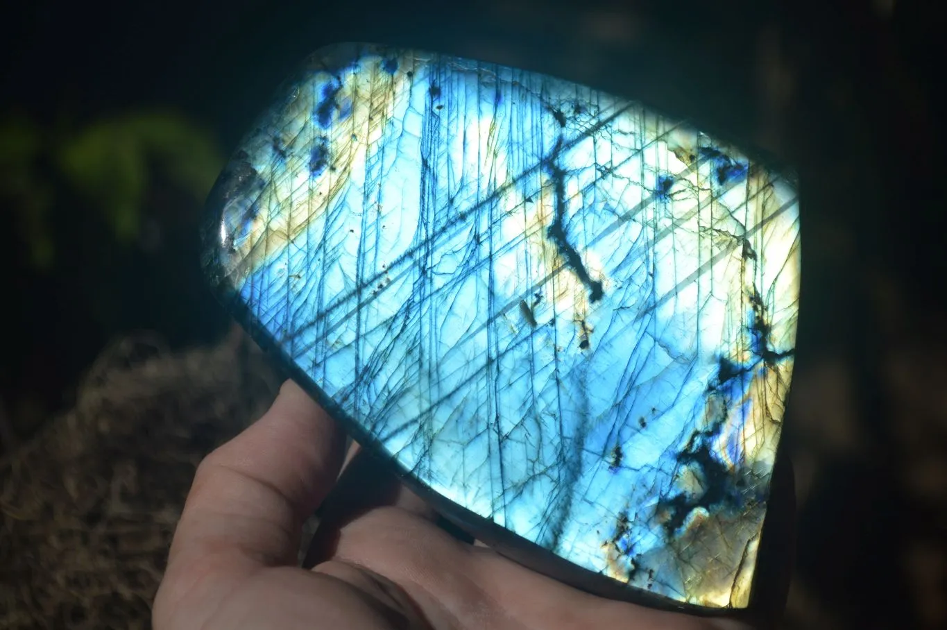 Polished Gorgeous Flashy Labradorite Standing Free Forms  x 2 From Tulear, Madagascar