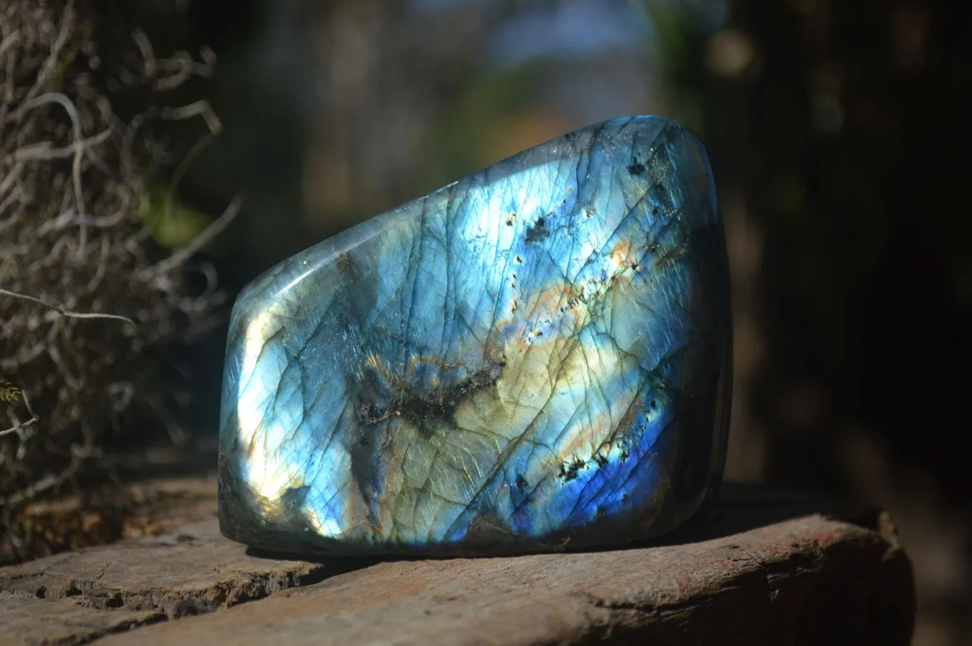 Polished Gorgeous Flashy Labradorite Standing Free Forms  x 2 From Tulear, Madagascar