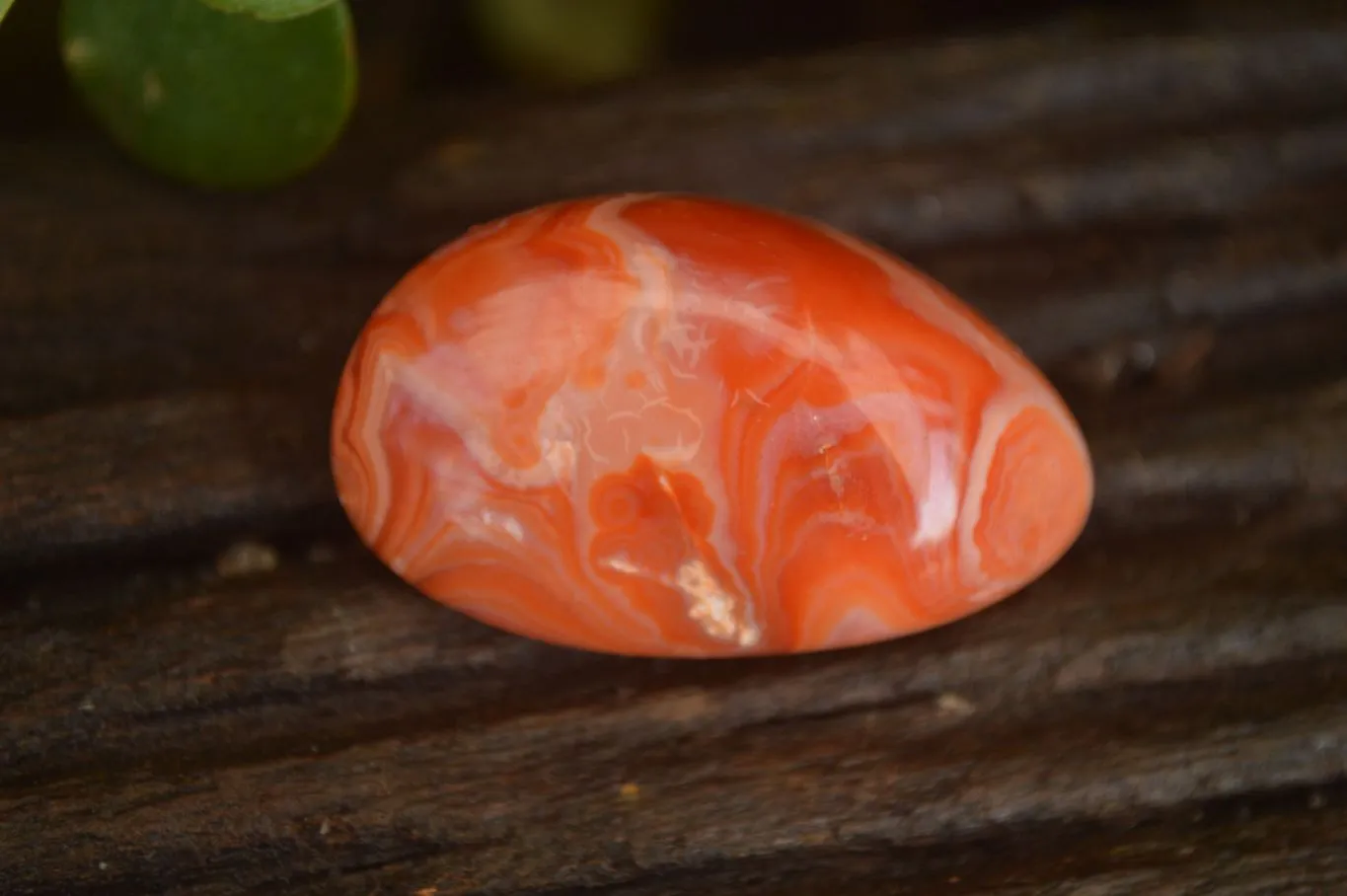 Polished  Small Carnelian Agate Free Forms  x 42 From Madagascar