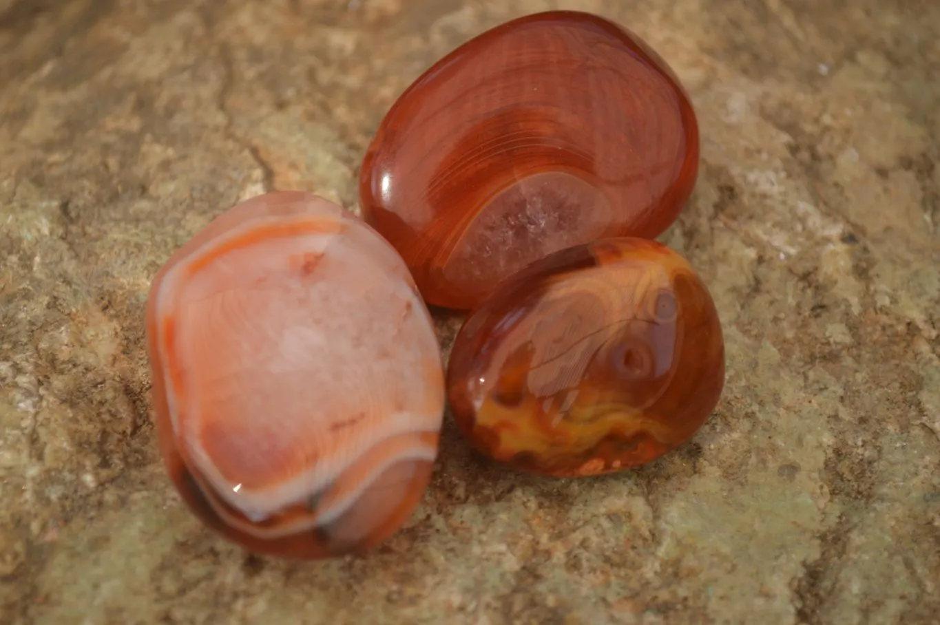 Polished  Small Carnelian Agate Free Forms  x 42 From Madagascar