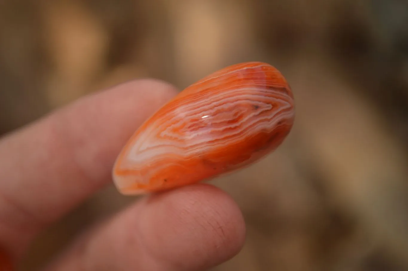 Polished  Small Carnelian Agate Free Forms  x 42 From Madagascar