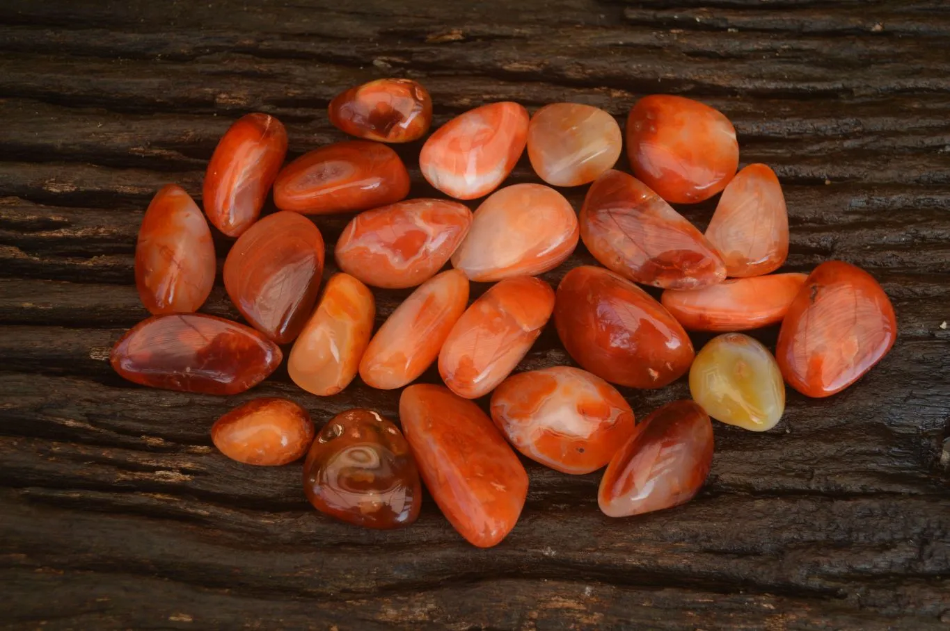 Polished  Small Carnelian Agate Free Forms  x 42 From Madagascar