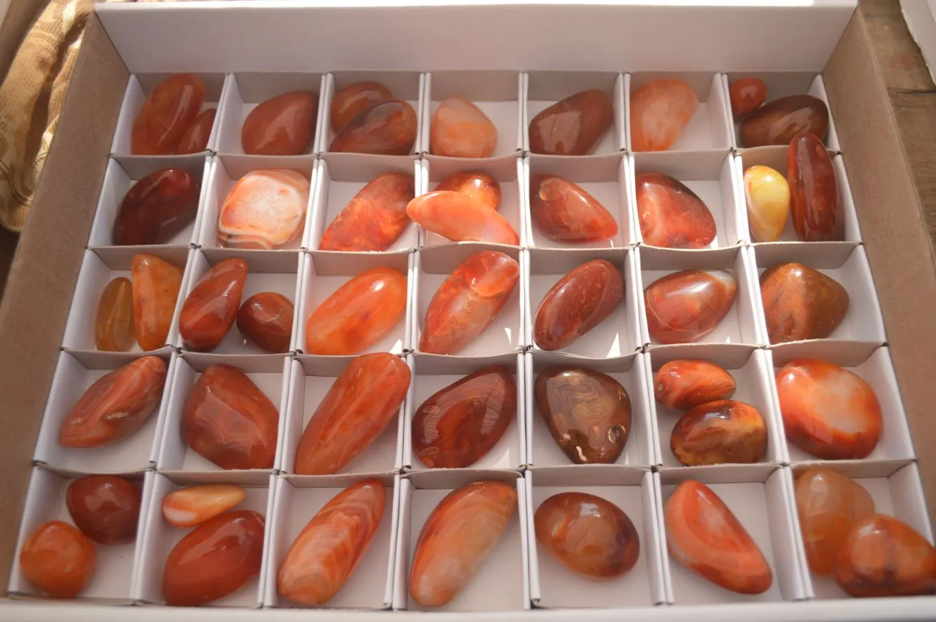 Polished  Small Carnelian Agate Free Forms  x 42 From Madagascar