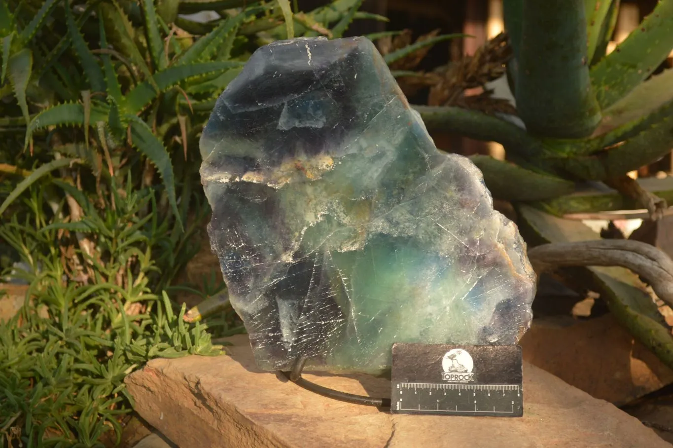 Polished  Watermelon Fluorite Slice With Custom Metal Stand  x 1 From Uis, Namibia